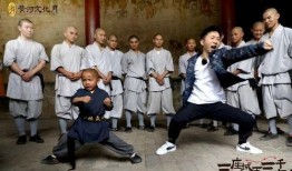 少林寺游客爆料事件视频,一场意外的冲突引发热议