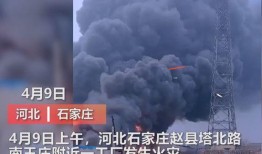 石家庄爆料撞车视频,视频曝光事故瞬间