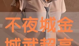 不夜城在线观看全集,揭秘都市繁华背后的秘密